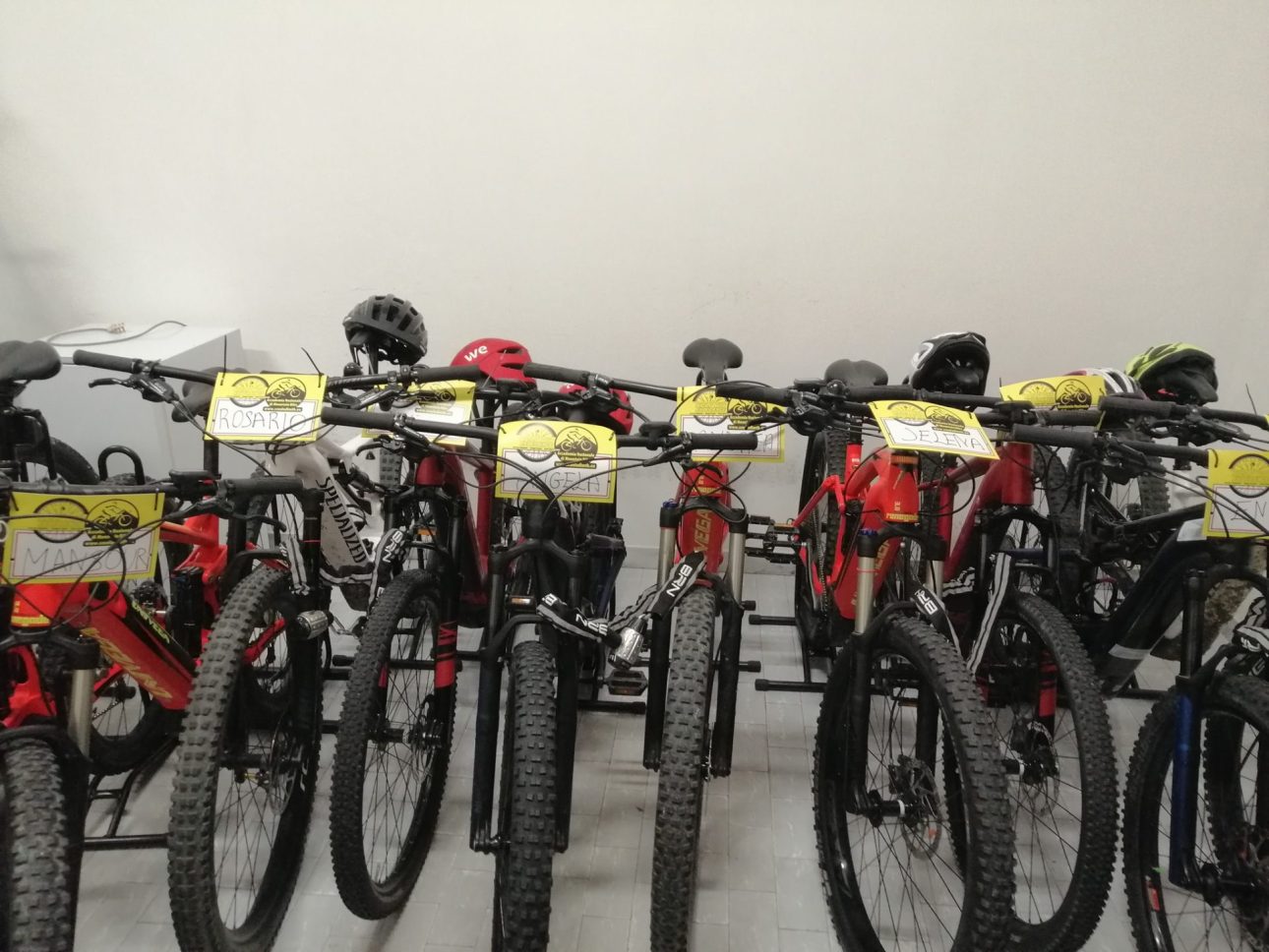 officina biciclette bike tour rimini 